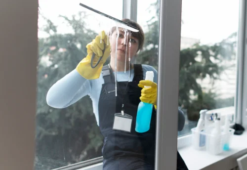 Nettoyage de vitres intérieures et extérieures à Mendionde